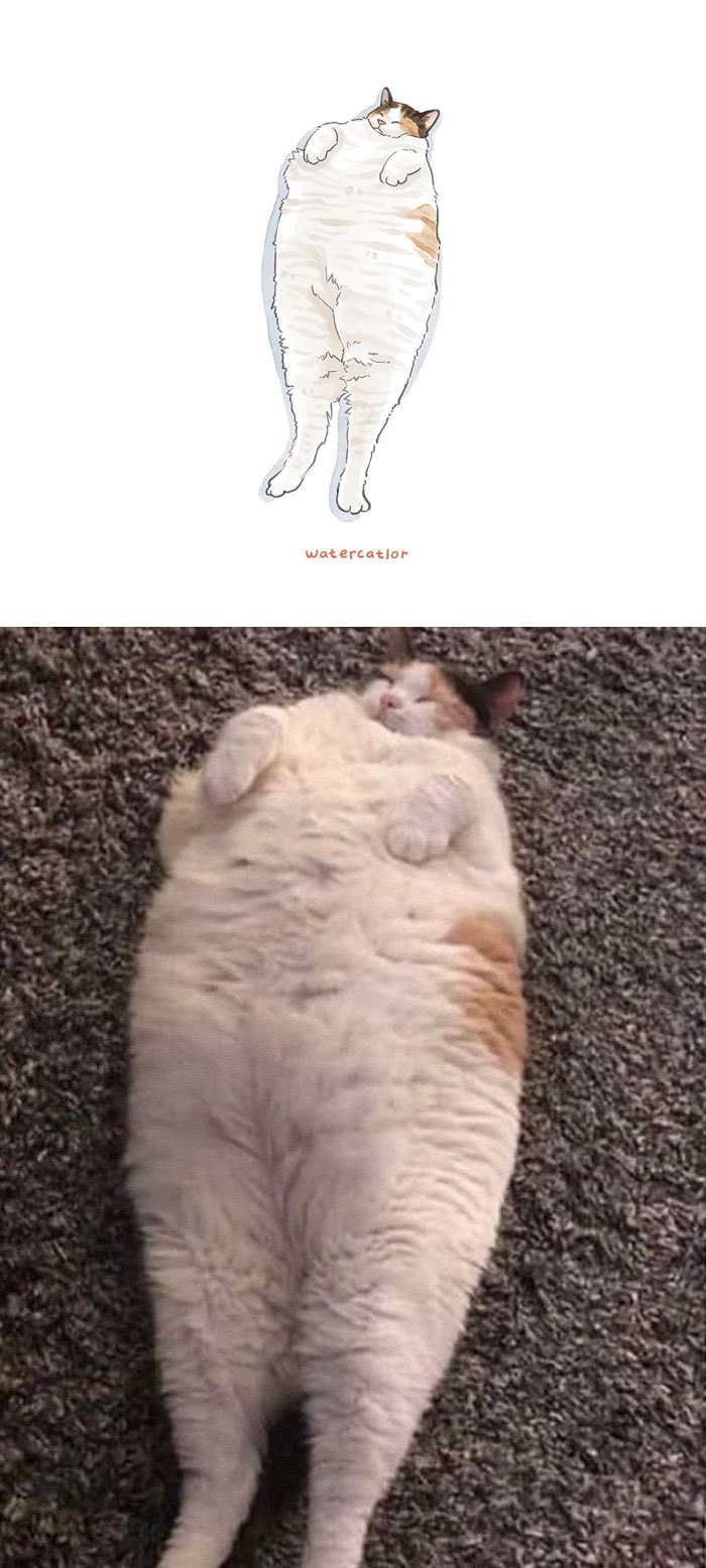 Watercolor-Cat-Paintings-Watercatlor