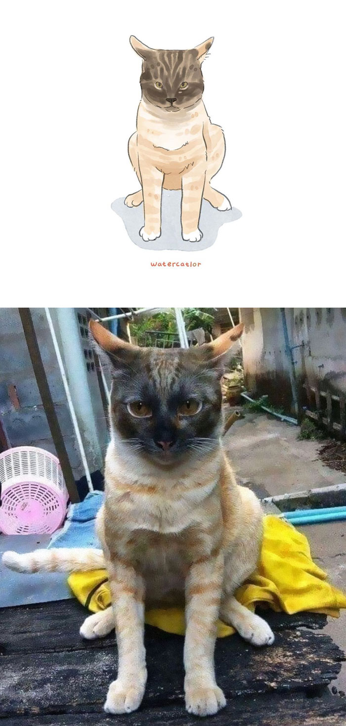 Watercolor-Cat-Paintings-Watercatlor
