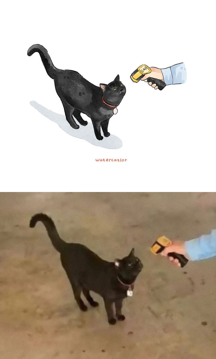 Watercolor-Cat-Paintings-Watercatlor