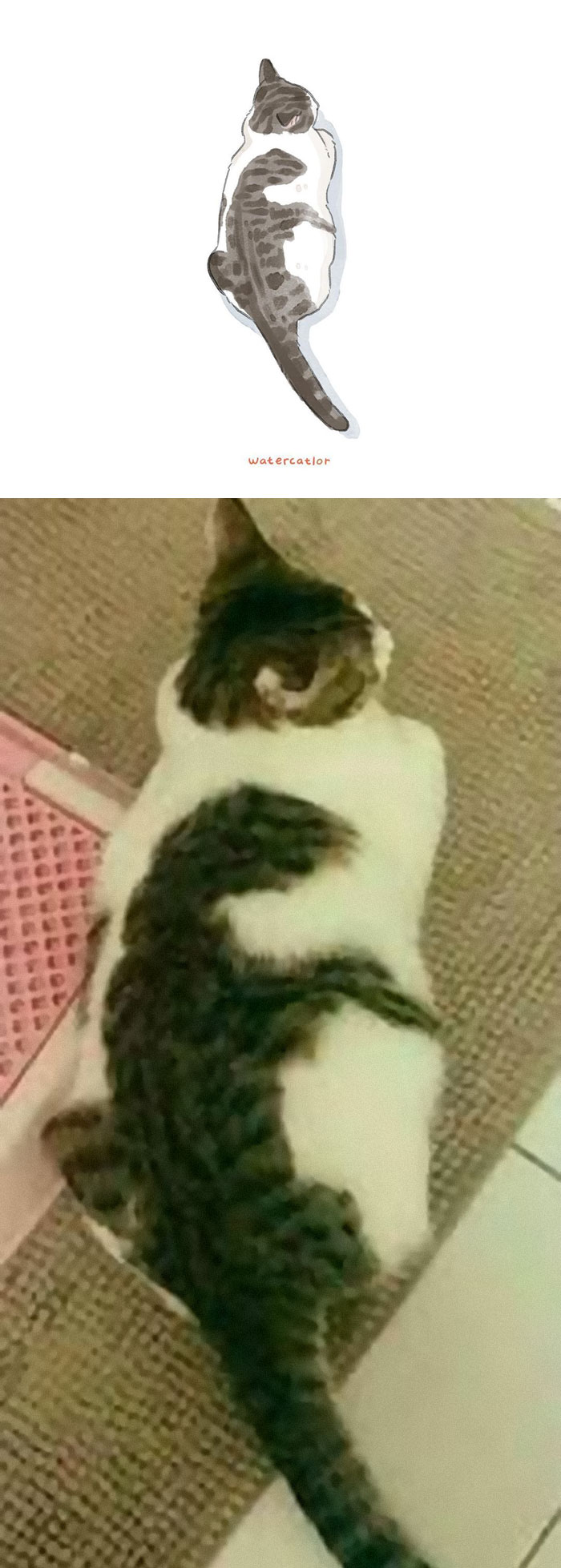 Watercolor-Cat-Paintings-Watercatlor