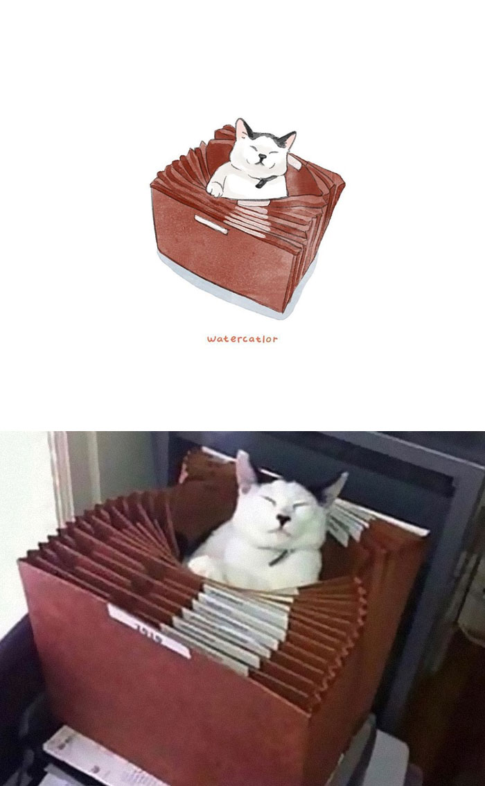 Watercolor-Cat-Paintings-Watercatlor