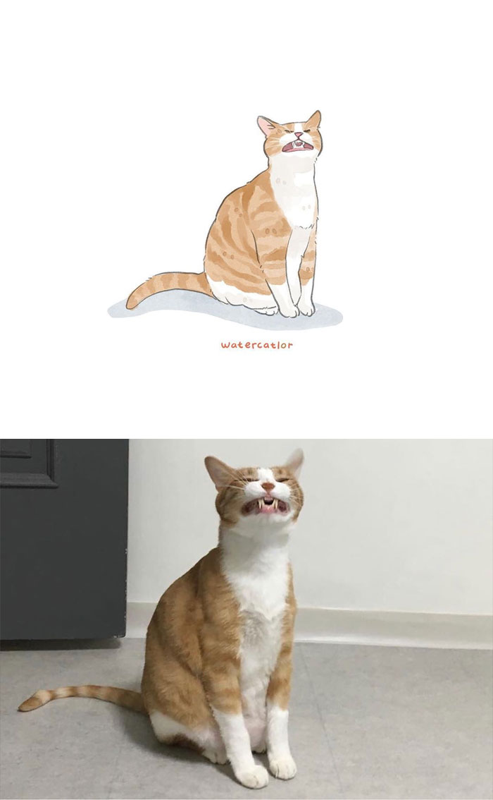 Watercolor-Cat-Paintings-Watercatlor