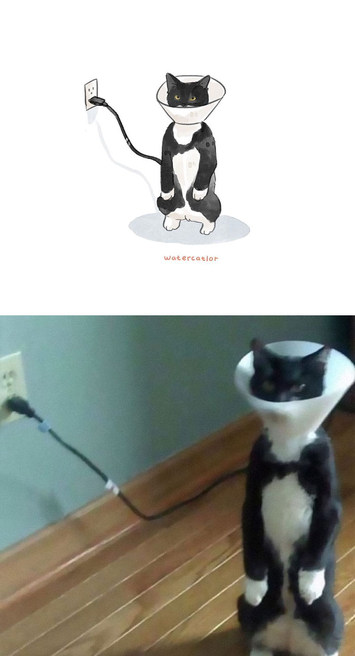 Watercolor-Cat-Paintings-Watercatlor