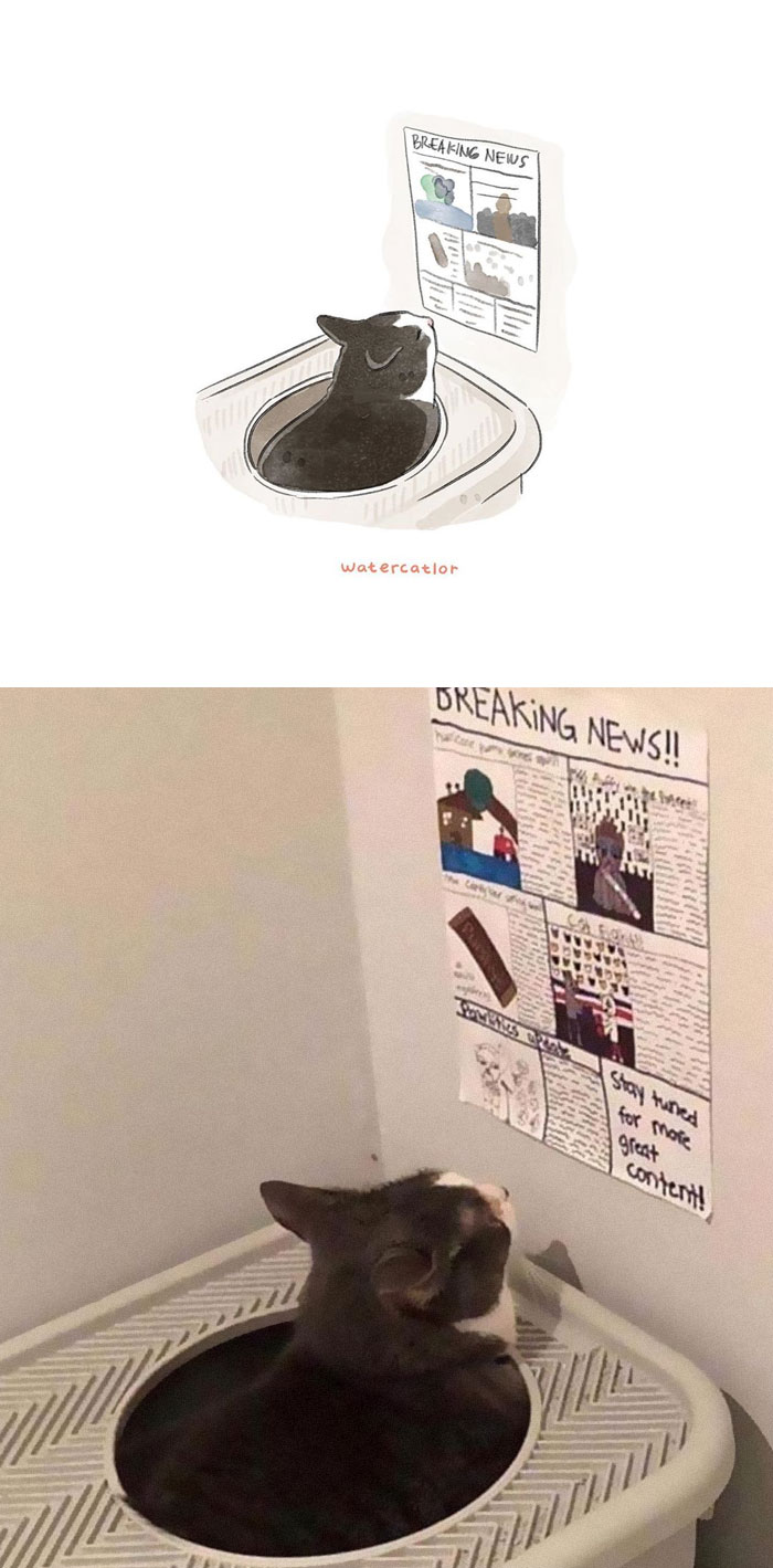 Watercolor-Cat-Paintings-Watercatlor