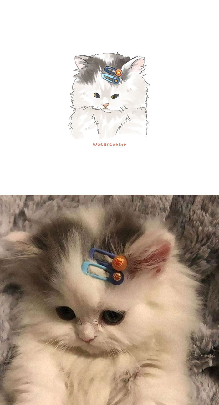 Watercolor-Cat-Paintings-Watercatlor