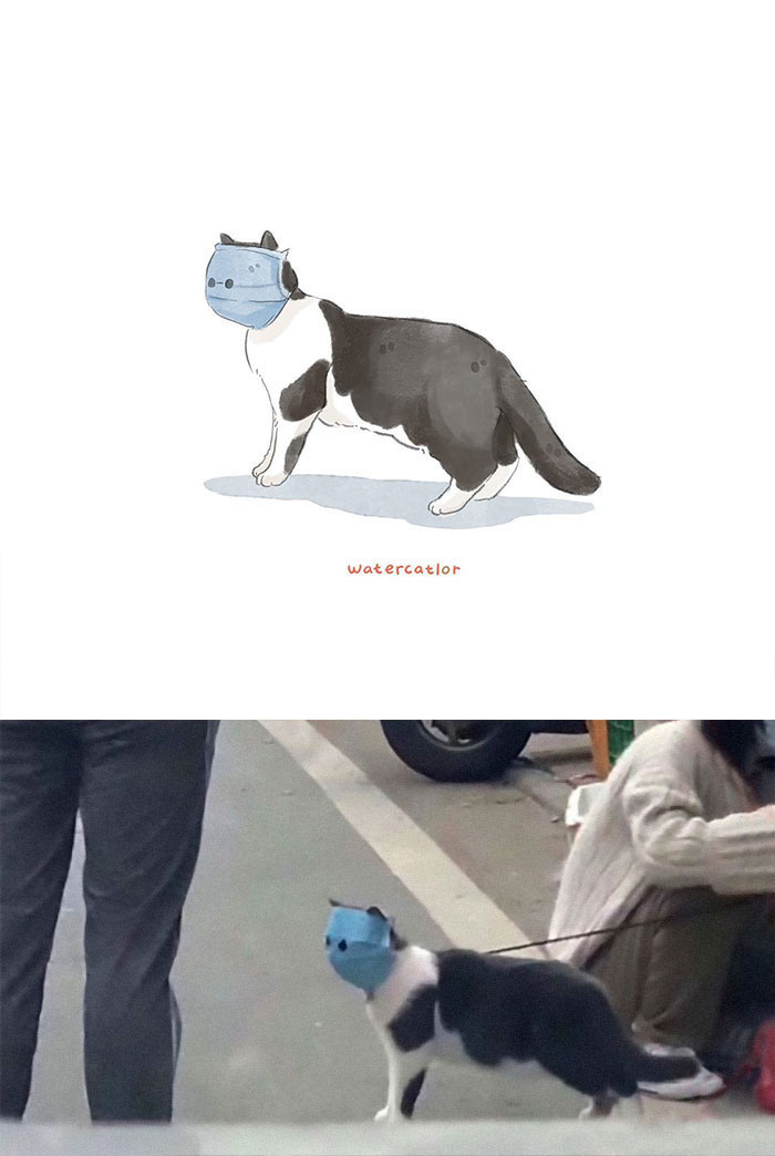 Watercolor-Cat-Paintings-Watercatlor