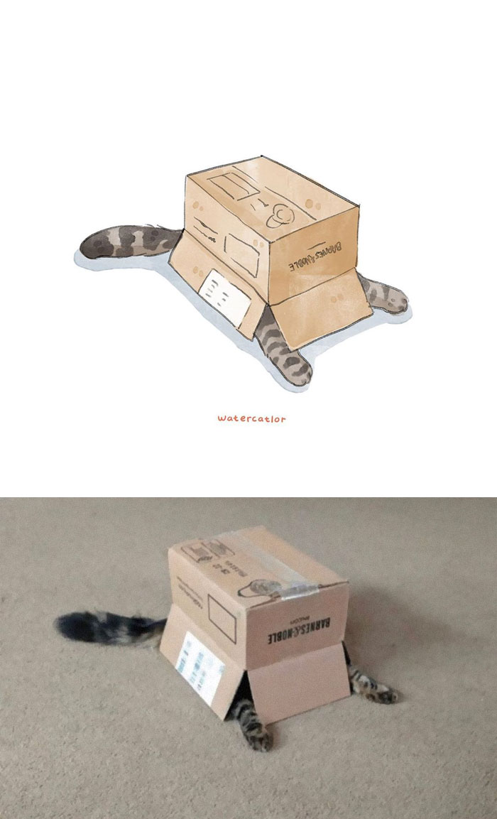 Watercolor-Cat-Paintings-Watercatlor