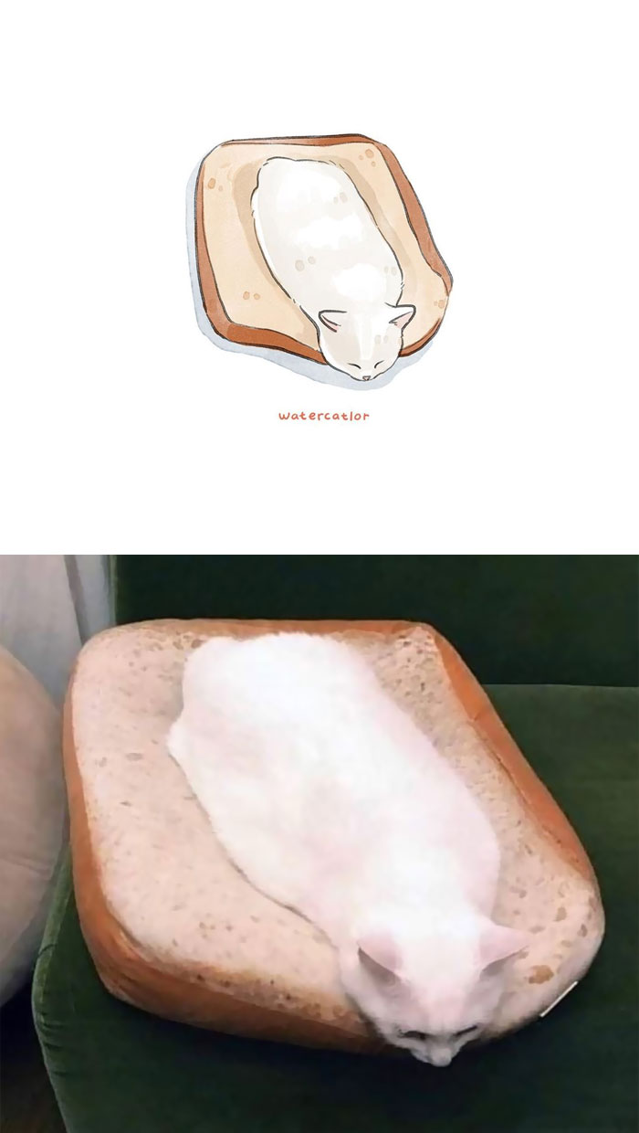 Watercolor-Cat-Paintings-Watercatlor