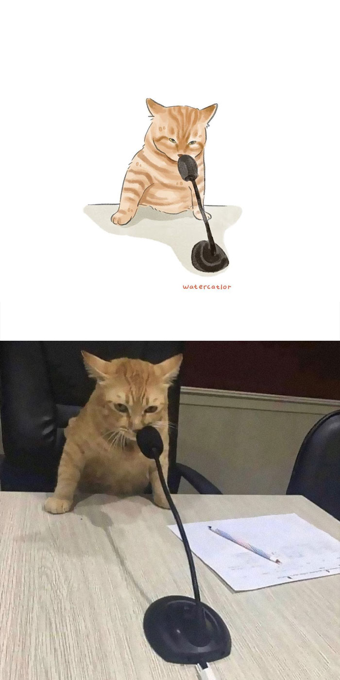 Watercolor-Cat-Paintings-Watercatlor