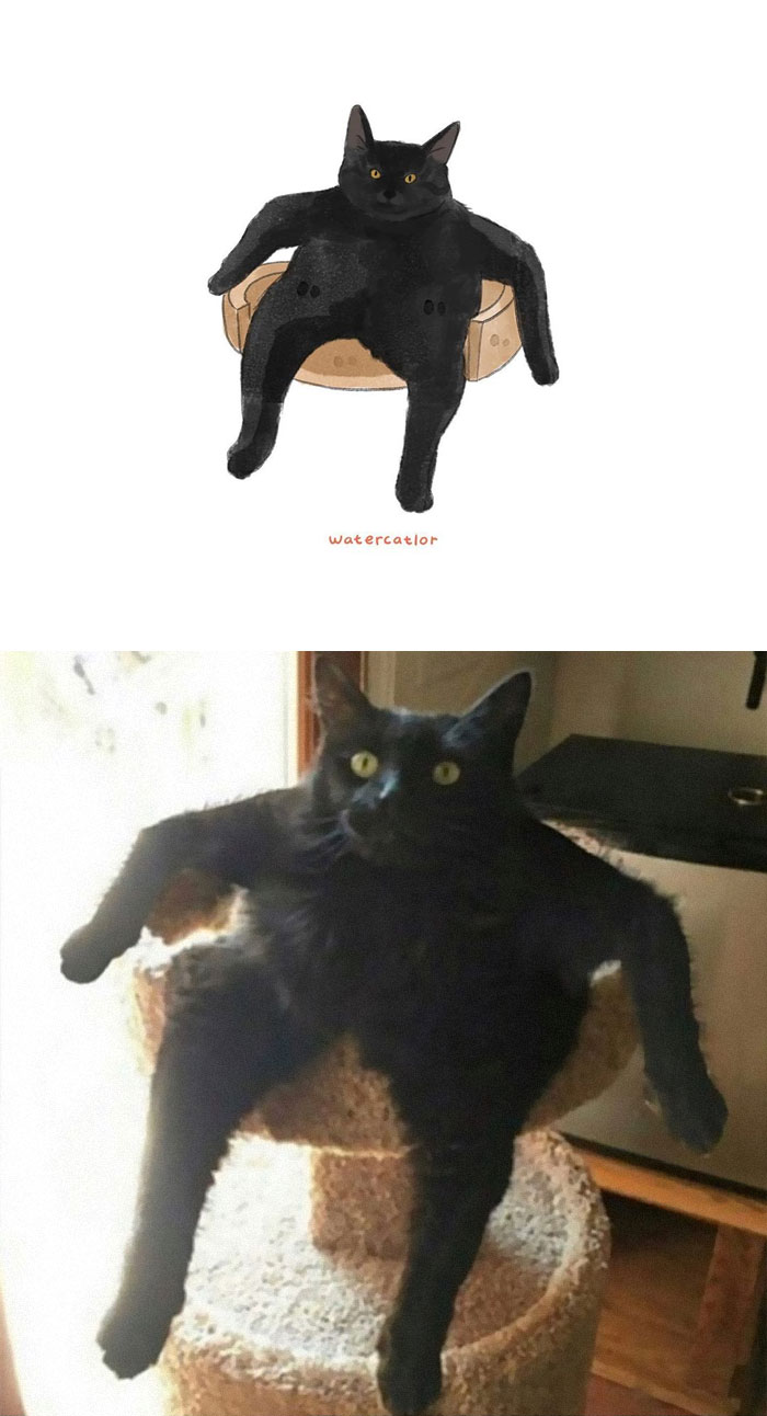 Watercolor-Cat-Paintings-Watercatlor