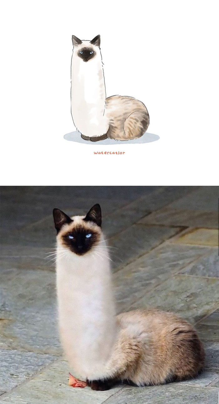 Watercolor-Cat-Paintings-Watercatlor