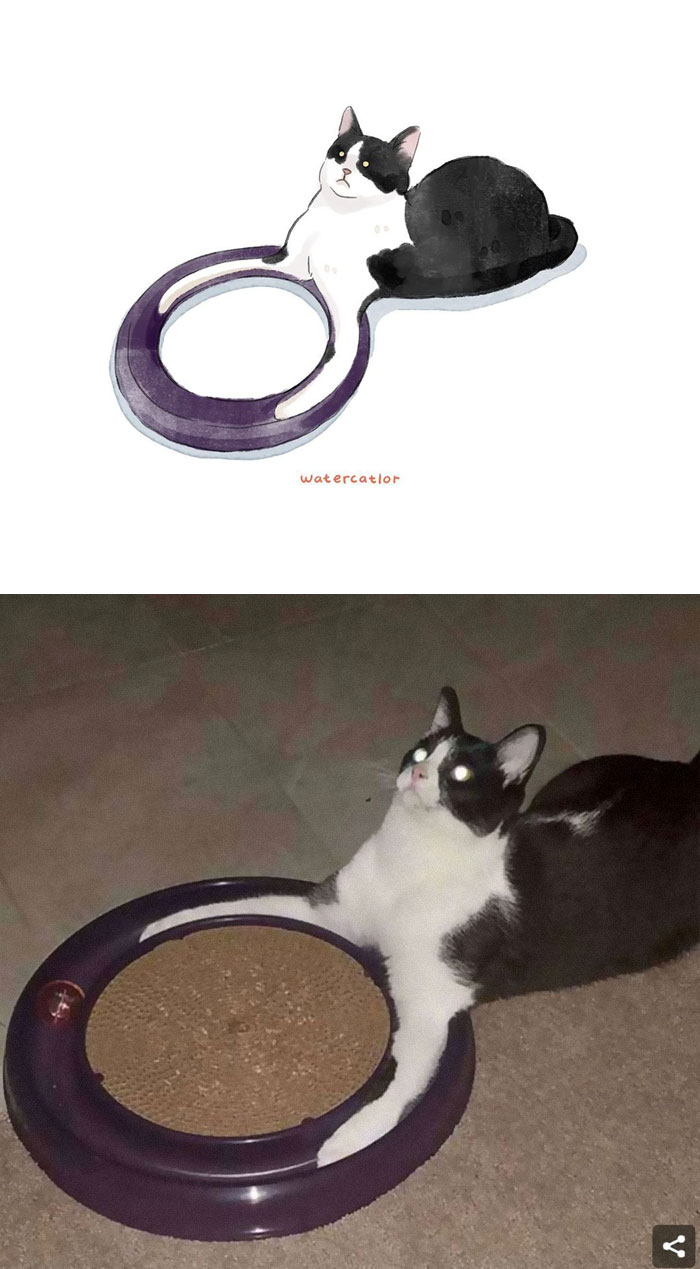 Watercolor-Cat-Paintings-Watercatlor