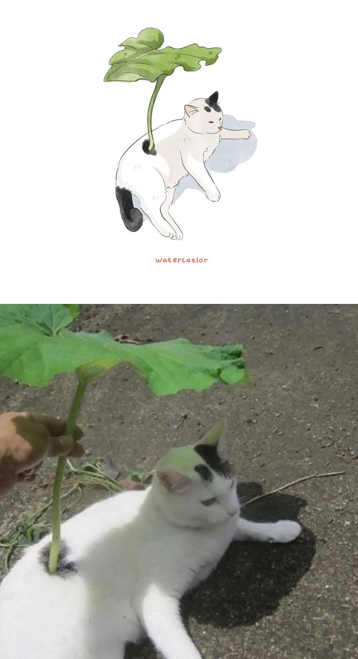 Watercolor-Cat-Paintings-Watercatlor