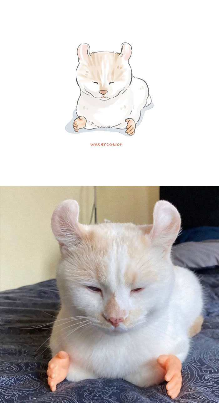 Watercolor-Cat-Paintings-Watercatlor