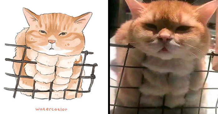 30 Of The Funniest Internet-Famous Cat Pics Get ‘Watercolorized’ By Amelia Rizky (New Pics)
