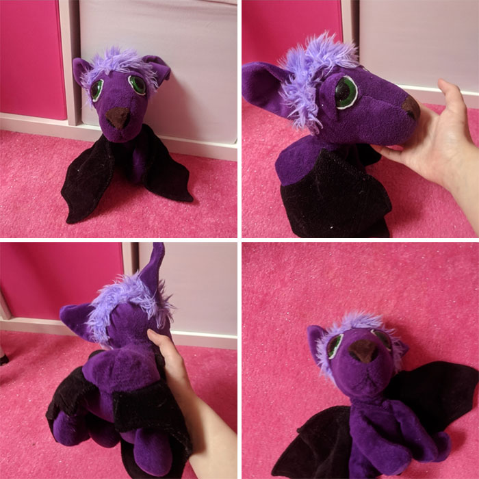 Meet Bathorse. She Is Part Bat And Part Horse. I've Had Her For Years!