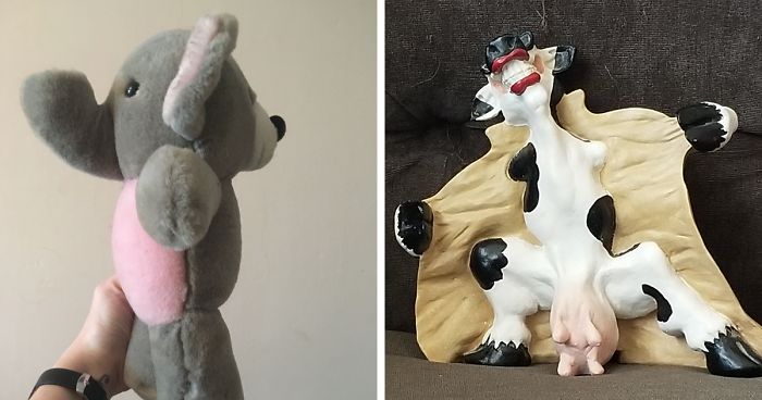 Hey Pandas, What Is The Weirdest Thing You Own? (Ended)