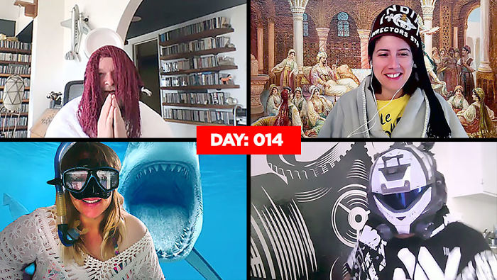 Work-Team-Quarantine-Meetings-Homemade-Costumes