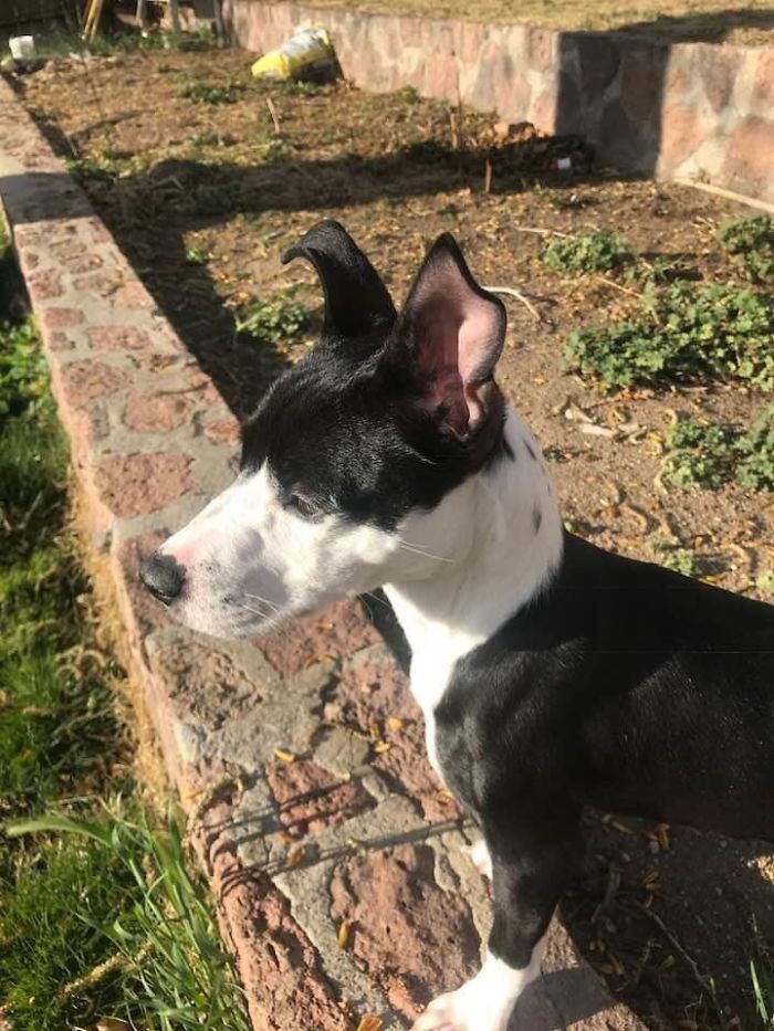 Kitty Montgomery In Her New Yard