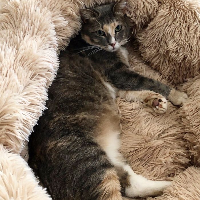 I Am Hera, ‘The Queen Of Heaven, Ruling Over Mount Olympus Where All The Gods And Goddesses Live.