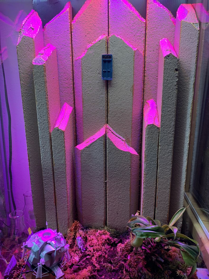 I Visited Texas Triffid Ranch: Dallas’s Carnivorous Plant Gallery (14 Pics)