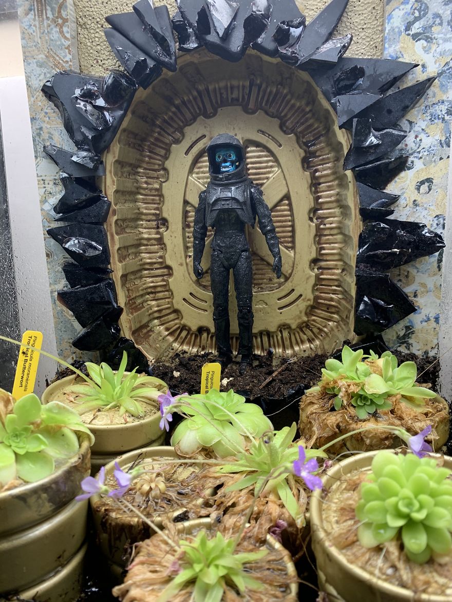 I Visited Texas Triffid Ranch: Dallas’s Carnivorous Plant Gallery (14 Pics)