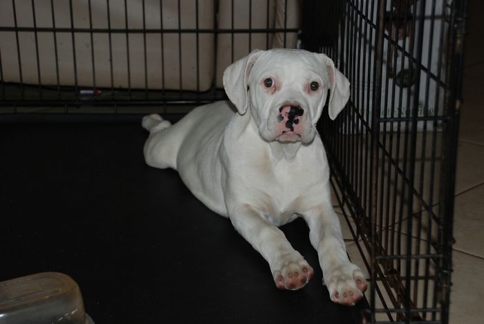 Here’s Another Pic Of My Baby Sparkle