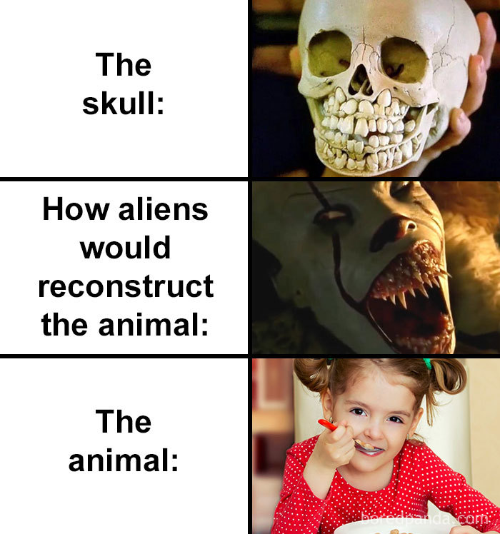 Skull-How-Aliens-Would-Reconstruct-Animal-Meme