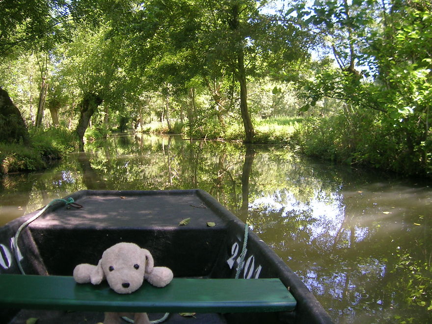Meeting Peace - Marais Poitevin - France