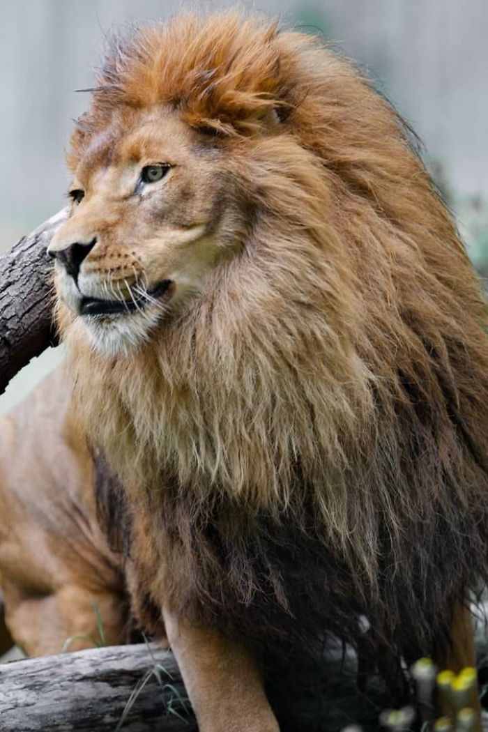 I Am A Wildlife Hunter, But My 'Gun' Is My Camera (19 Pics)