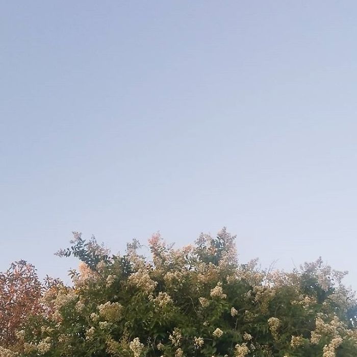 I'm A 16-Year-Old Photographer, And I View The World Through Photos