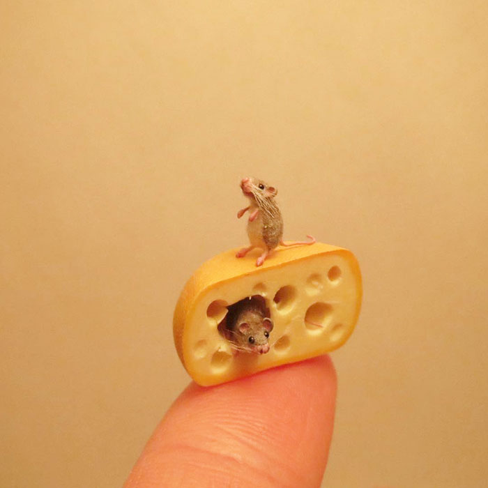 Tiny-Dollhouse-Animals-Miniatures-Fanni-Sandor