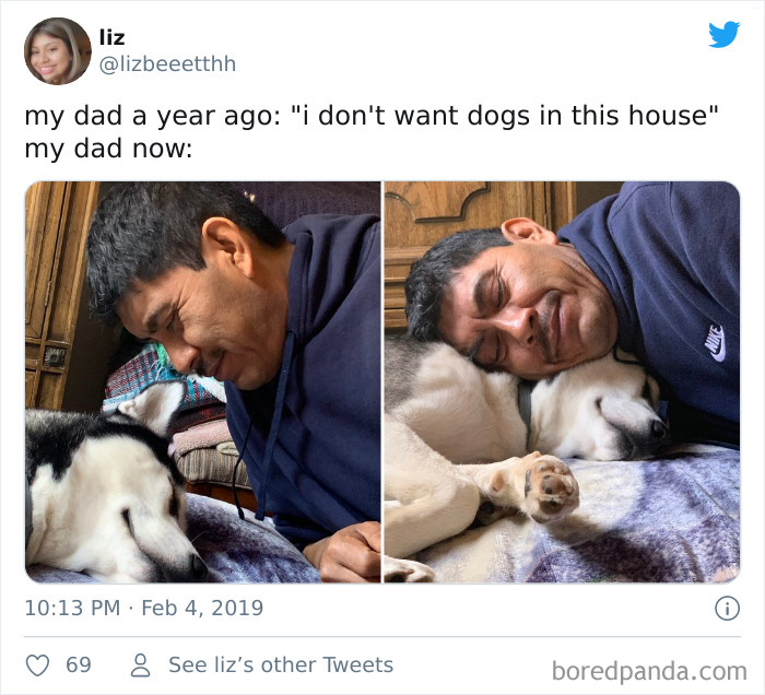 This Dog Is Not Only In His House, But In His Heart Now