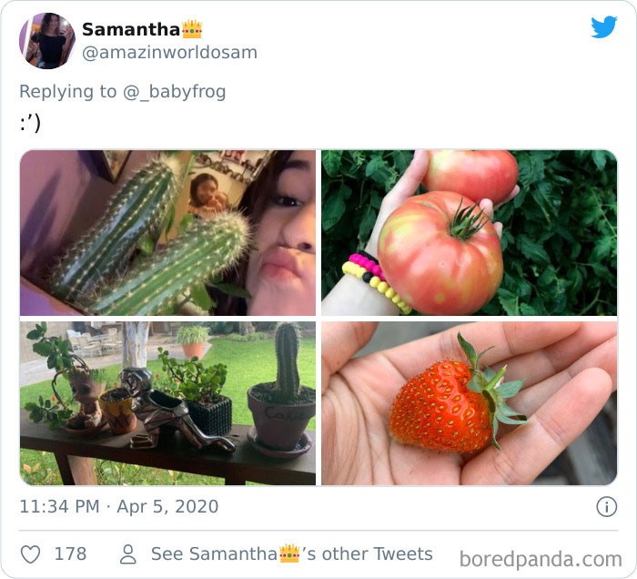 Plants-Obsession-Illustration-Cecile-Dormeau