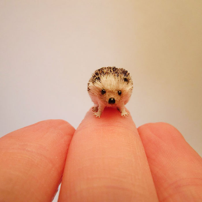 Tiny-Dollhouse-Animals-Miniatures-Fanni-Sandor