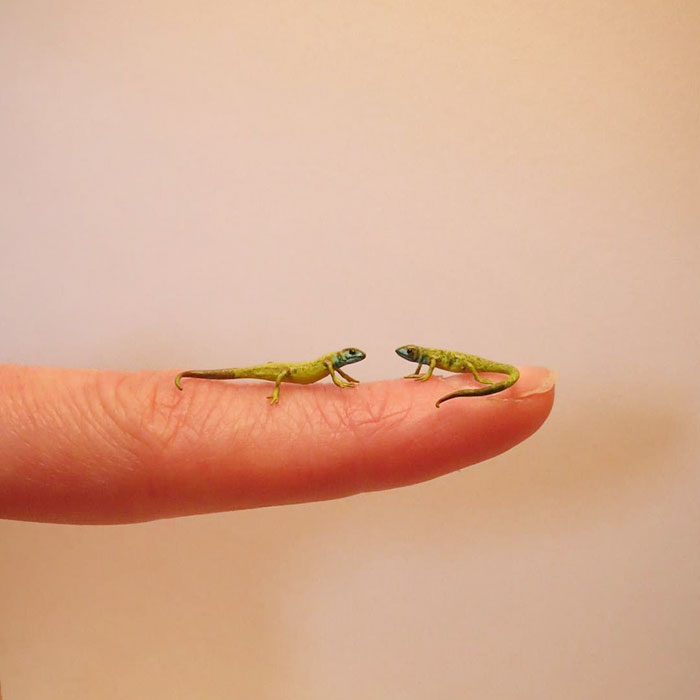 Tiny-Dollhouse-Animals-Miniatures-Fanni-Sandor