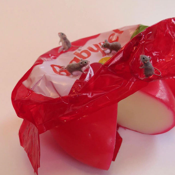 Tiny-Dollhouse-Animals-Miniatures-Fanni-Sandor