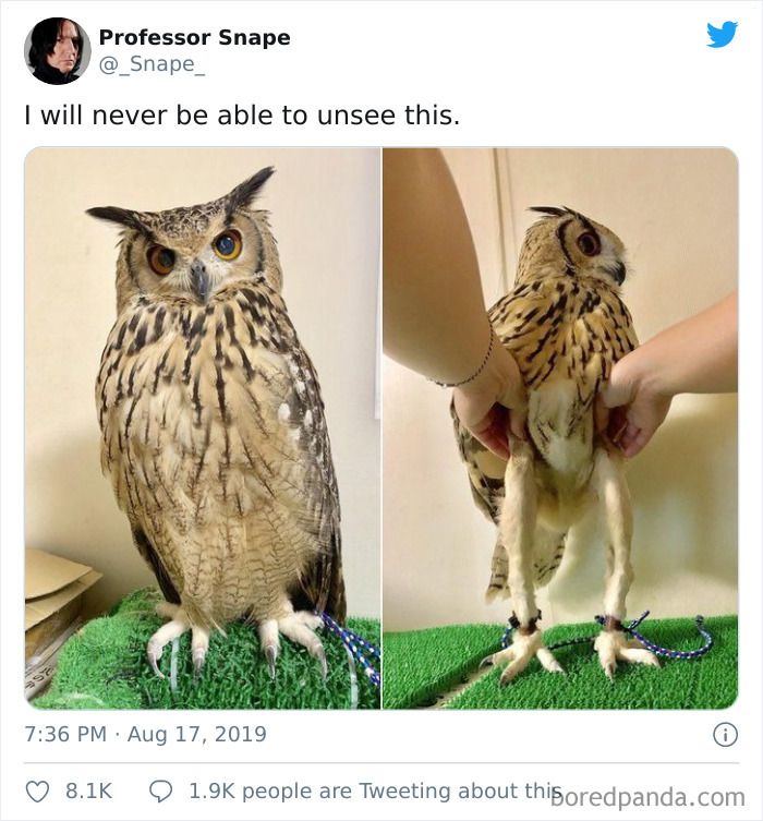 Funny-Professor-Snape-Tweets