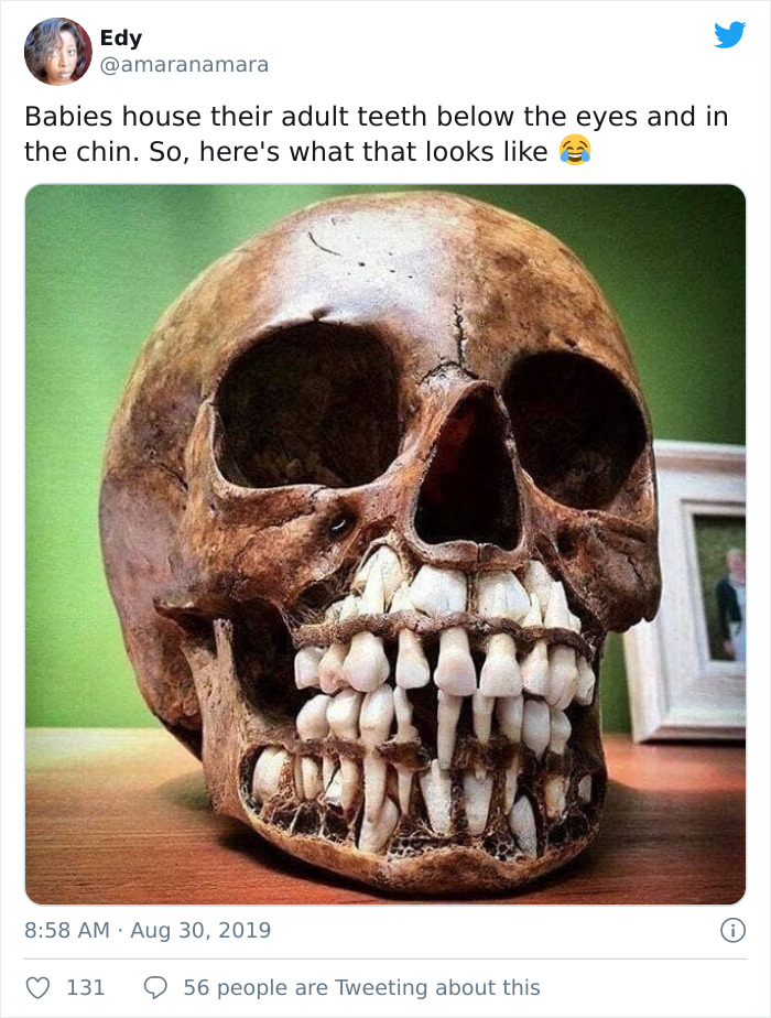 Interesting-Facts-Learned-From-Twitter