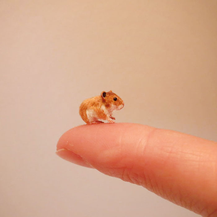 Tiny-Dollhouse-Animals-Miniatures-Fanni-Sandor