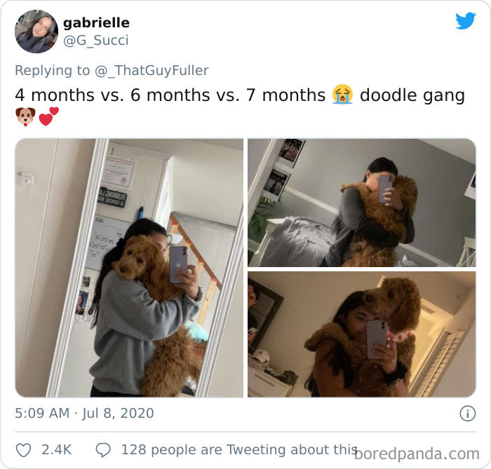 People-Share-Dog-Photos-Then-And-Now