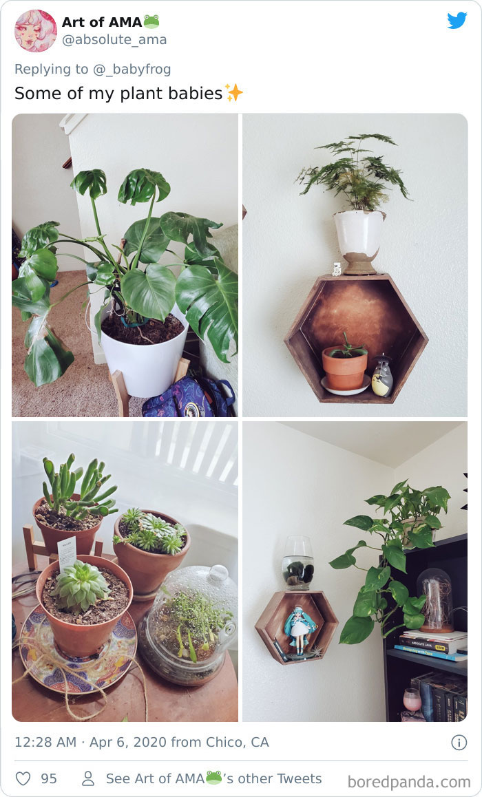 Plants-Obsession-Illustration-Cecile-Dormeau