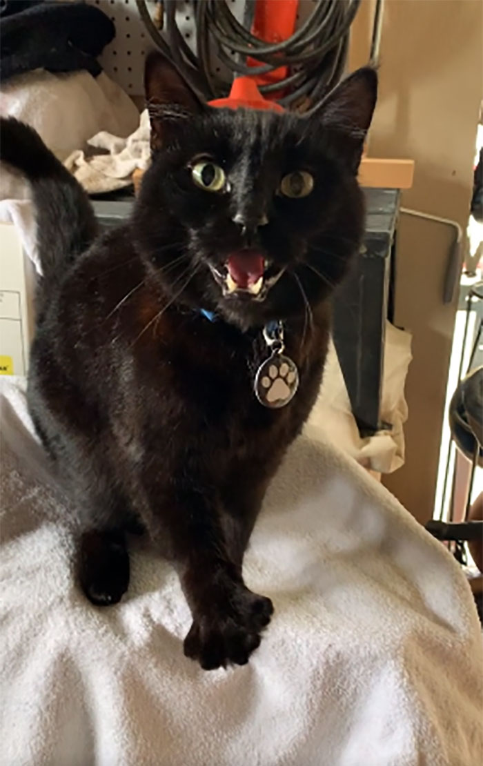 I Was Told My Sweet Boy Belongs Here! Enjoy (: