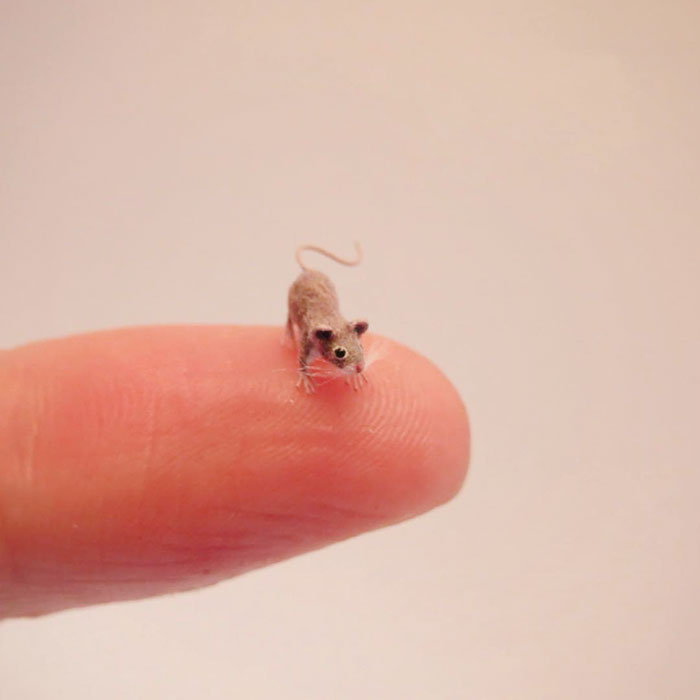 Tiny-Dollhouse-Animals-Miniatures-Fanni-Sandor
