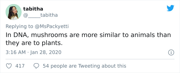 Interesting-Facts-Learned-From-Twitter