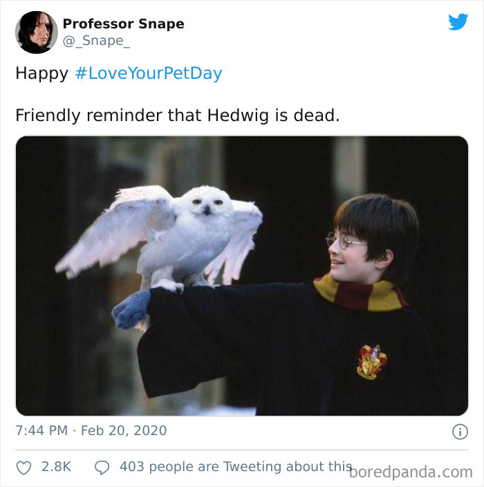 Funny-Professor-Snape-Tweets