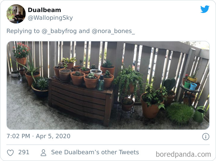 Plants-Obsession-Illustration-Cecile-Dormeau