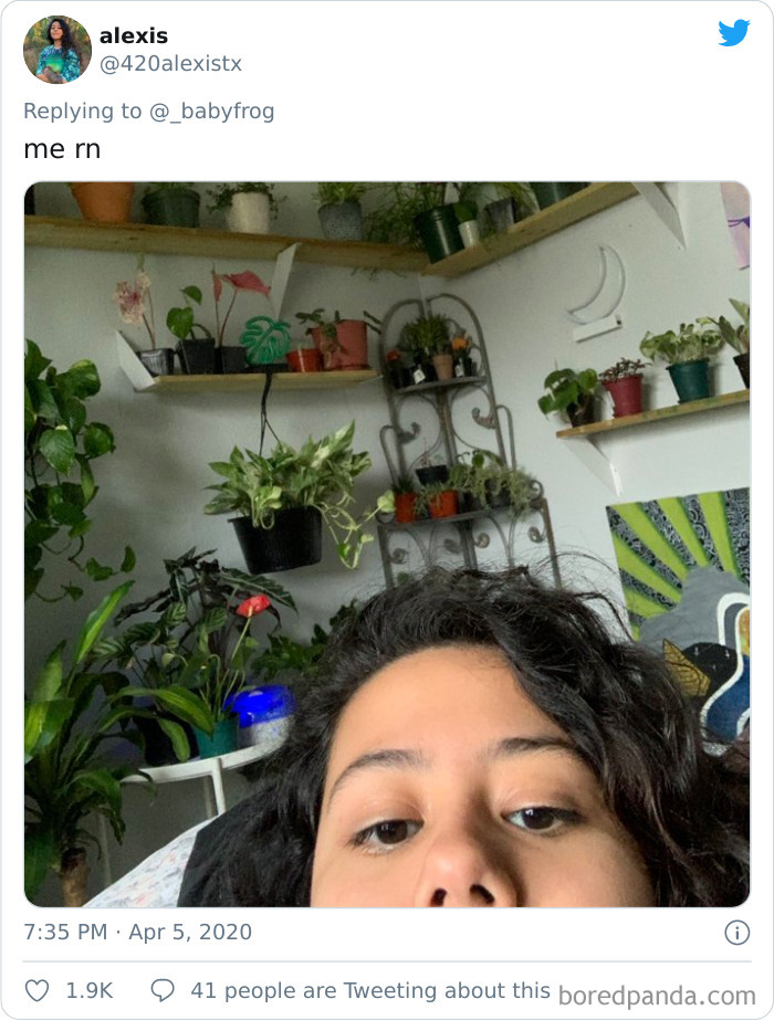 Plants-Obsession-Illustration-Cecile-Dormeau