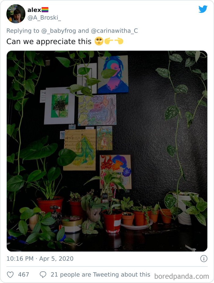 Plants-Obsession-Illustration-Cecile-Dormeau