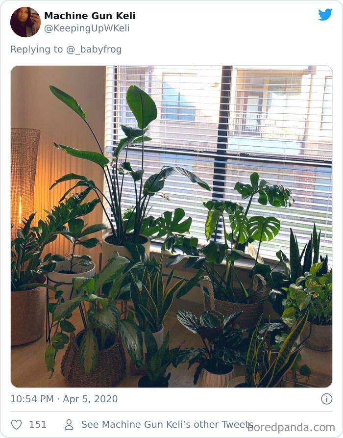 Plants-Obsession-Illustration-Cecile-Dormeau